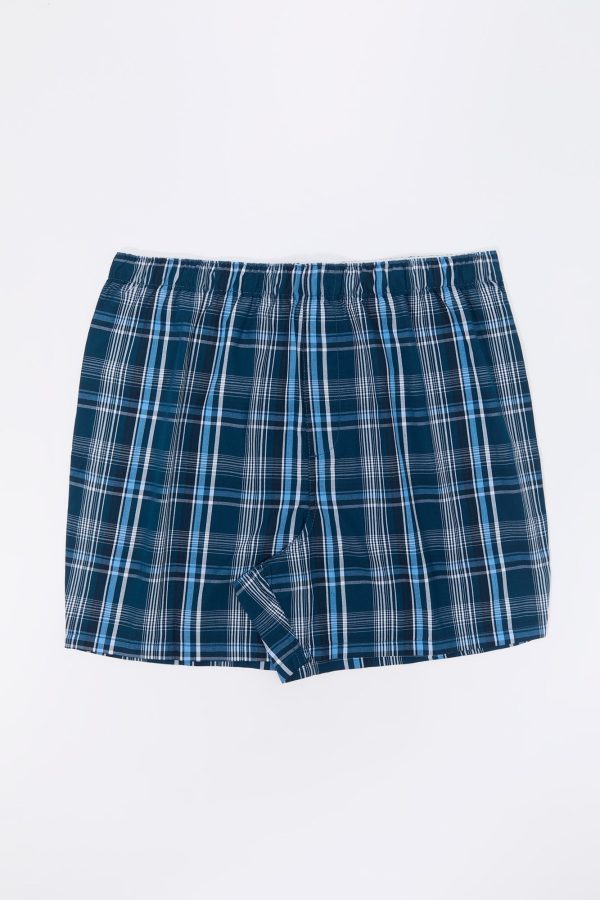 Plaid Boxer - 图片 9