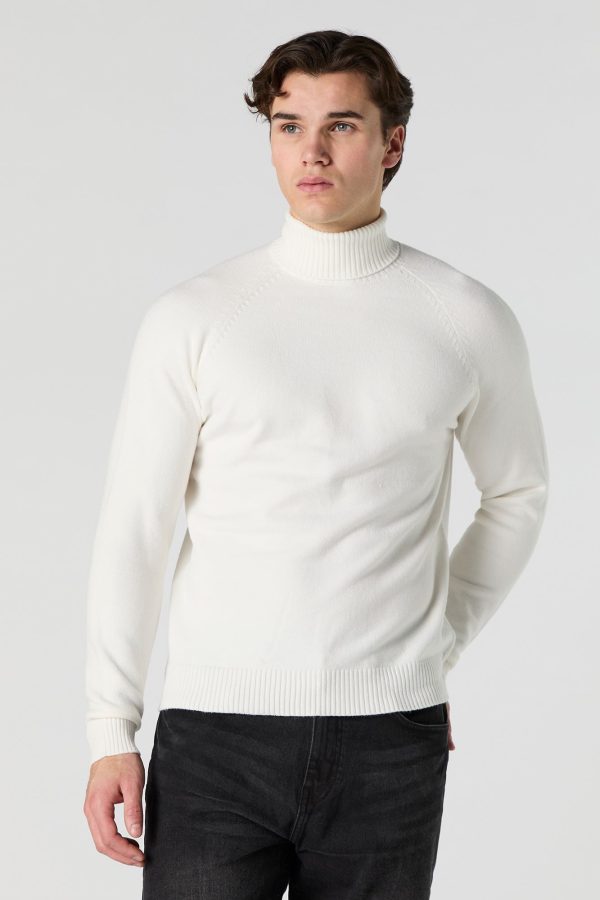 Solid Turtleneck Sweater - 图片 10