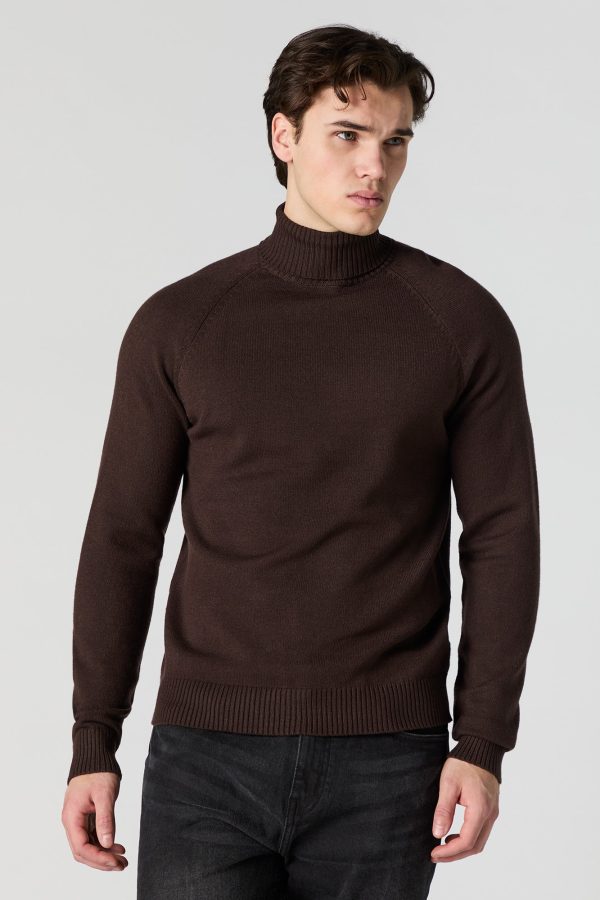 Solid Turtleneck Sweater - 图片 13