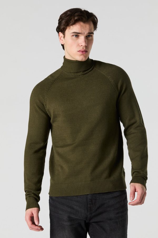 Solid Turtleneck Sweater