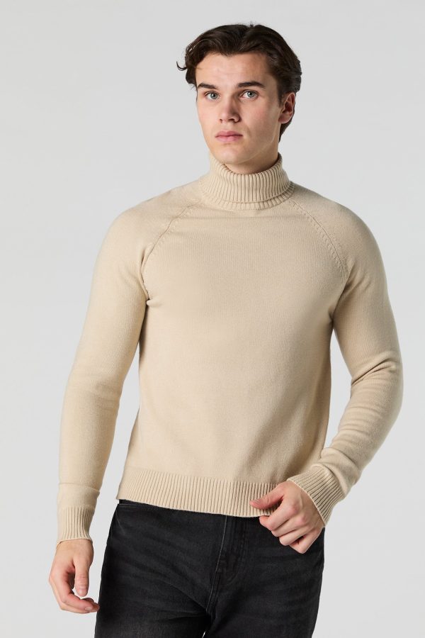 Solid Turtleneck Sweater - 图片 16