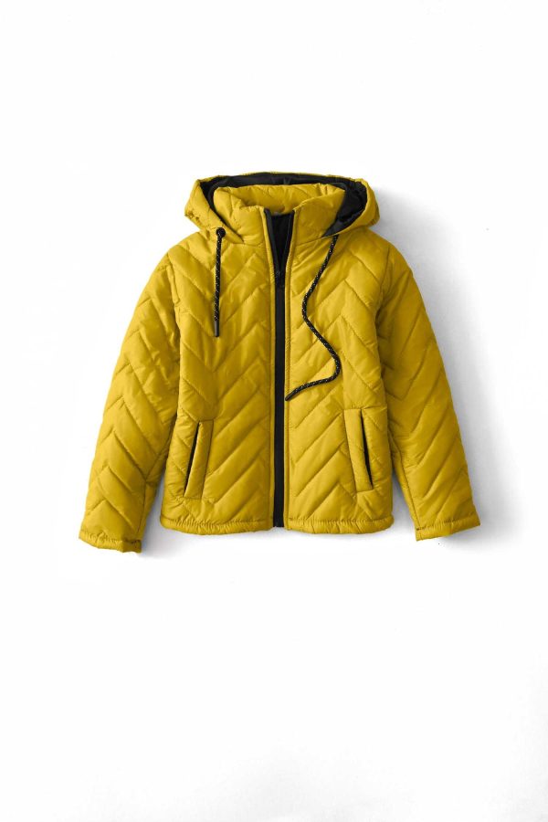 Cut Label Boy's Chevron Hooded Puffer Jacket - 图片 7