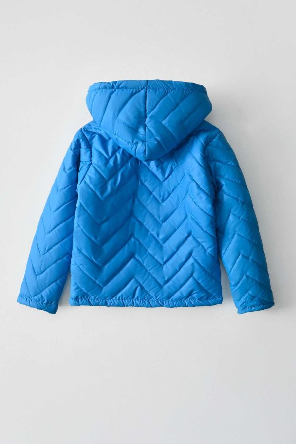 Cut Label Boy's Chevron Hooded Puffer Jacket - 图片 3