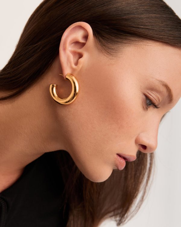 Chubby Large Hoop Earrings | 18ct Gold Plated - 图片 2