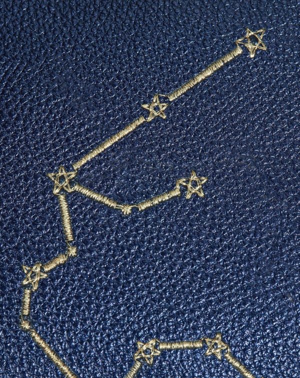 Constellation Pouch | Aquarius - 图片 4