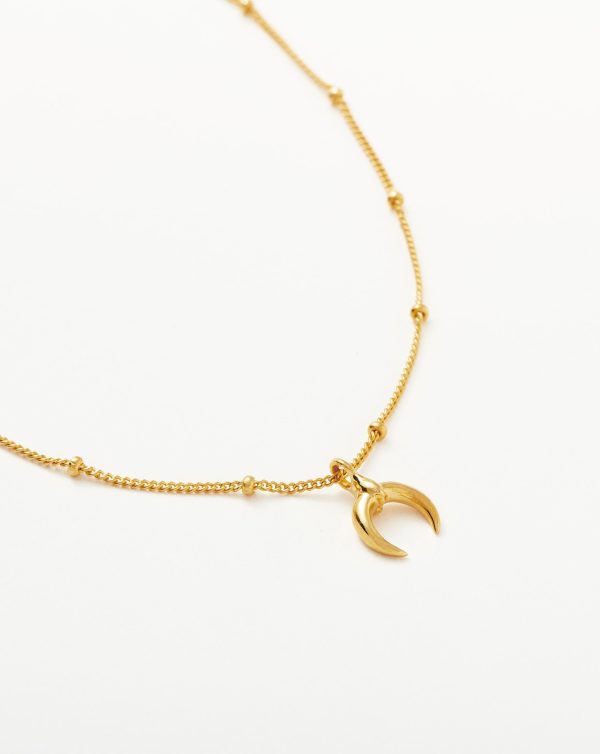 Lucy Williams Tiny Horn Anklet - 图片 2