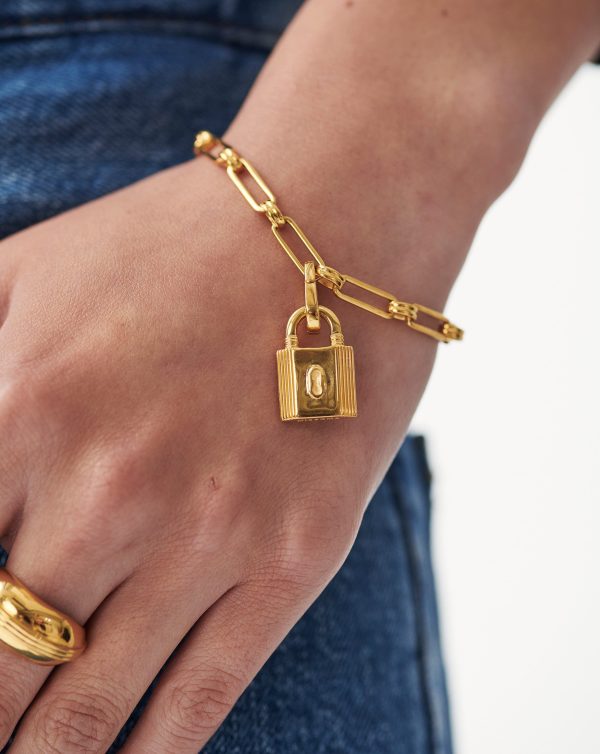 Small Ridge Padlock Aegis Chain Bracelet - 图片 2